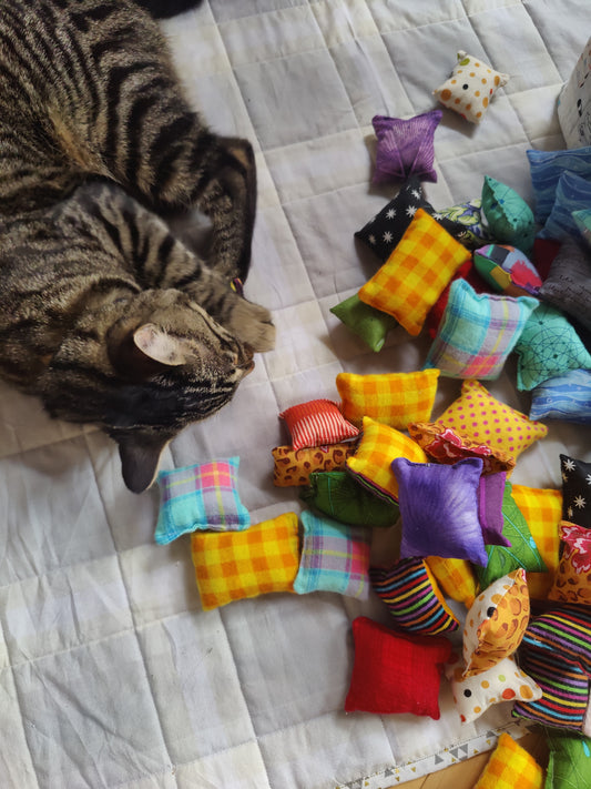 Cat Toy Pillow